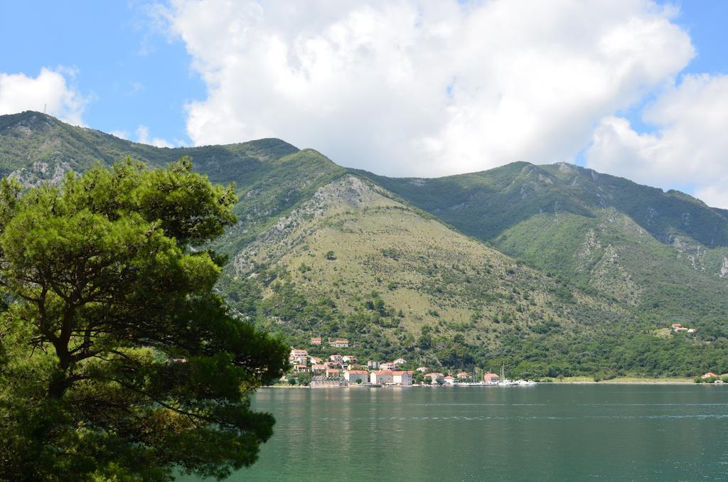 Apartment Ivanisevic 2 Kotor Exteriör bild